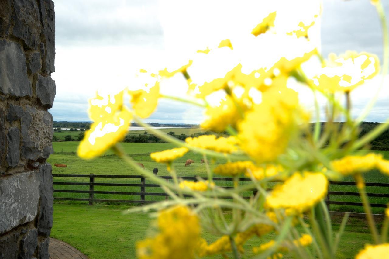 Bunratty Meadows Bed & Breakfast Extérieur photo